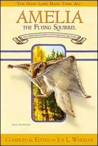 Amelia the Flying Squirrel