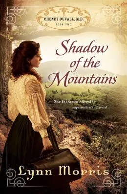 Shadow Of The Mountains