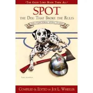 Spot, the Dog that Broke all the Rules